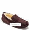 UGG MENS Ascot Chocolate