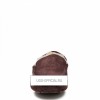 UGG MENS Ascot Chocolate