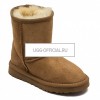 KIDS Classic Short Сhestnut