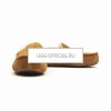 UGG MENS Ascot Chestnut