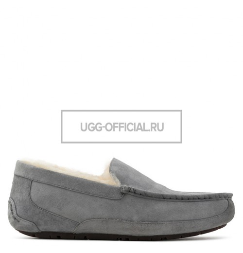 UGG MENS Ascot Grey