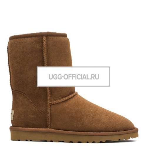 UGG MENS Classic Short Сhestnut